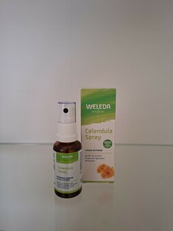 CALENDULA SPRAY